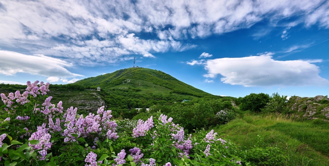 Гора машук в пятигорске фото летом